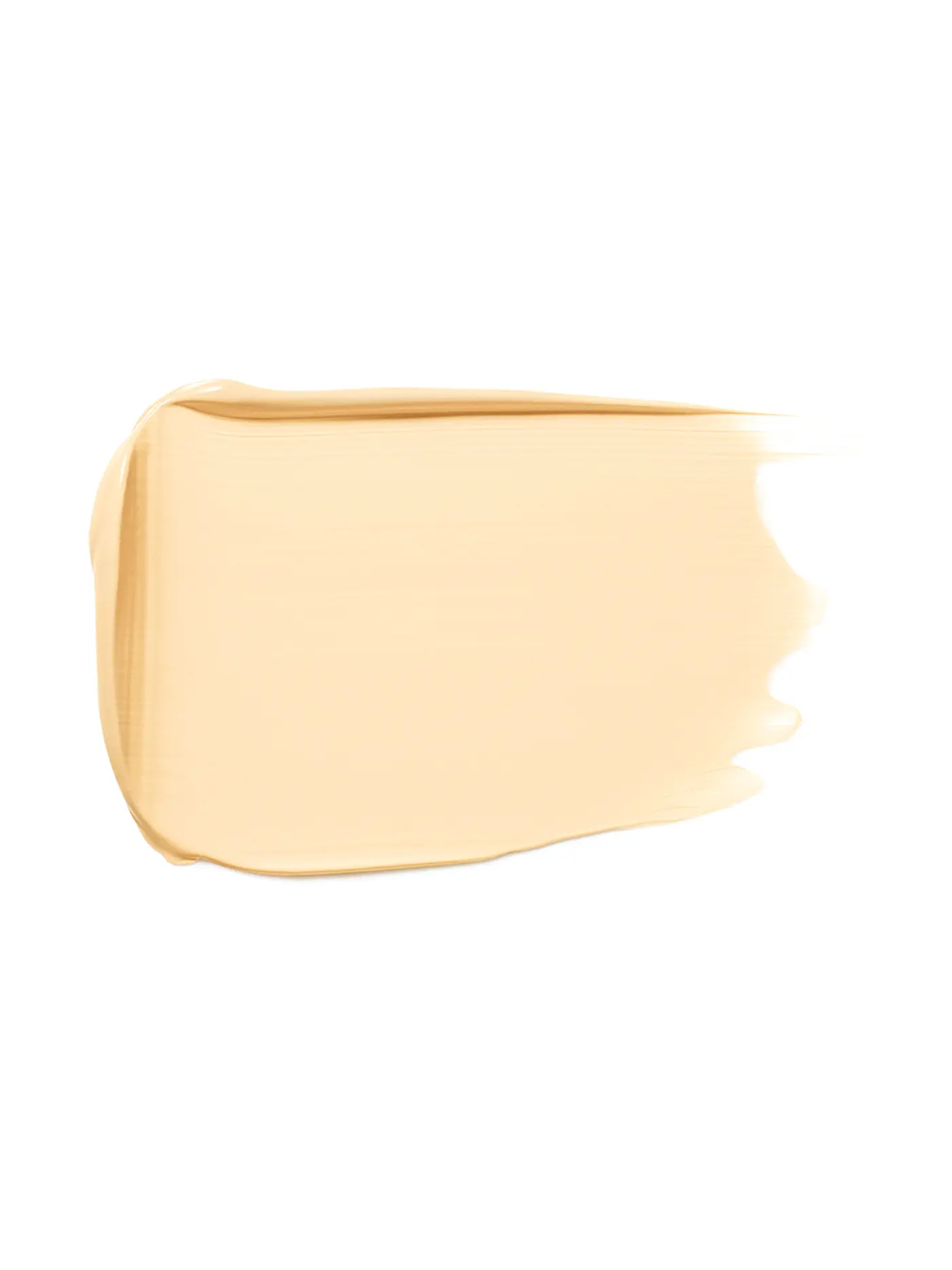 DR. HAUSCHKA | Foundation (06 Walnut) | camel